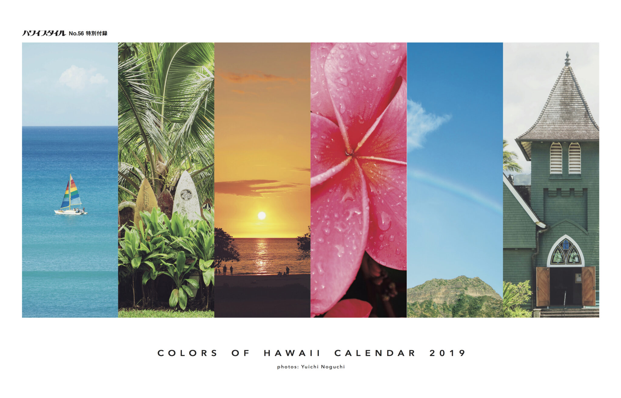 Hawaii Style Calendar 2019